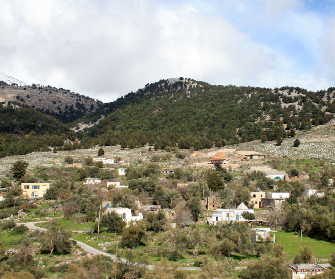 The village of Agios Ioannis in Sfakia, tucked into the forested slopes of the White Mountains